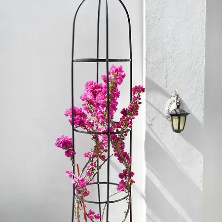 Apartament Rent House Daphne Kawala