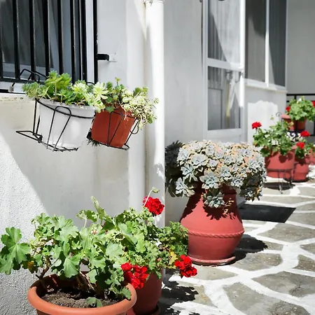 Rent House Daphne Apartment *