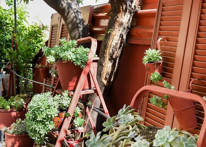 Apartamento Rent House Daphne