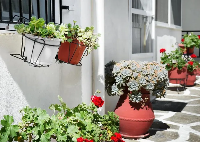 Rent House Daphne Apartamento *