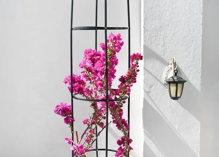 Apartment Rent House Daphne Kavala